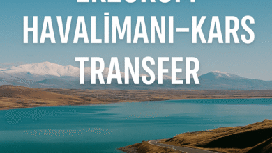 Erzurum havalimanı Kars transfer