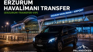 Erzurum Havalimani terminal binasi
