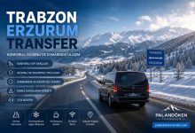 Trabzon Erzurum karayolu kis manzarasi