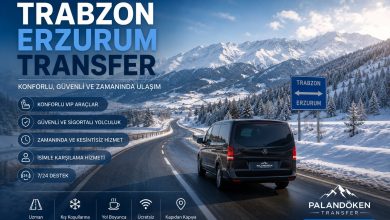 Trabzon Erzurum karayolu kis manzarasi