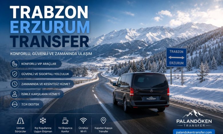 Trabzon Erzurum karayolu kis manzarasi